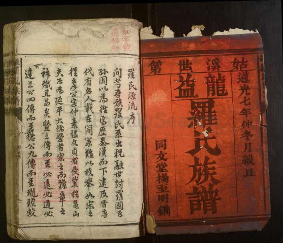 湖南省常德市罗氏族谱-龙益罗氏族谱[20卷首1卷].pdf电子版预览图1