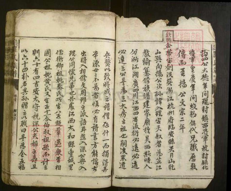 湖南省常德市罗氏族谱-龙益罗氏族谱[20卷首1卷].pdf电子版预览图2