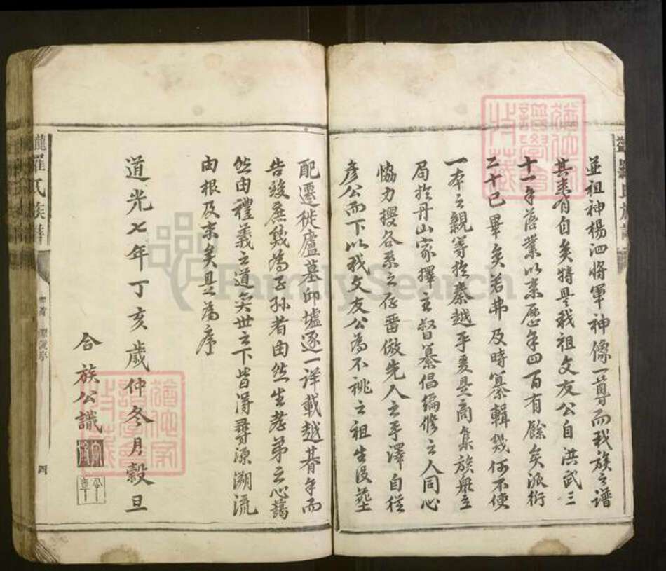 湖南省常德市罗氏族谱-龙益罗氏族谱[20卷首1卷].pdf电子版预览图4