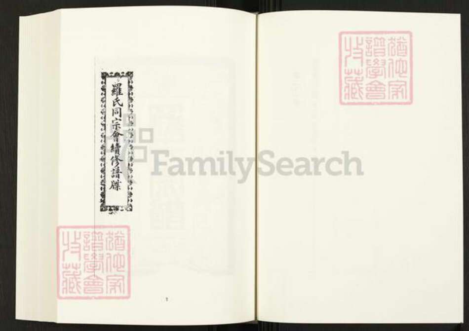 四川省内江市隆昌县四川省罗氏族谱-中国珍稀家谱丛刊.四川家谱.第21册.隆昌罗氏世谱.pdf电子版预览图3