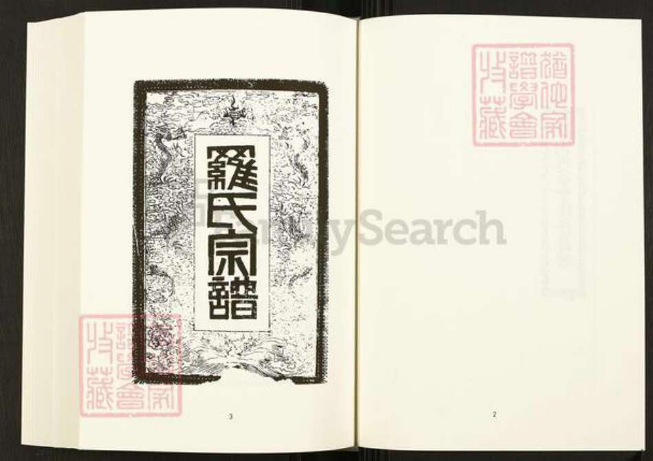 四川省内江市隆昌县四川省罗氏族谱-中国珍稀家谱丛刊.四川家谱.第21册.隆昌罗氏世谱.pdf电子版预览图4