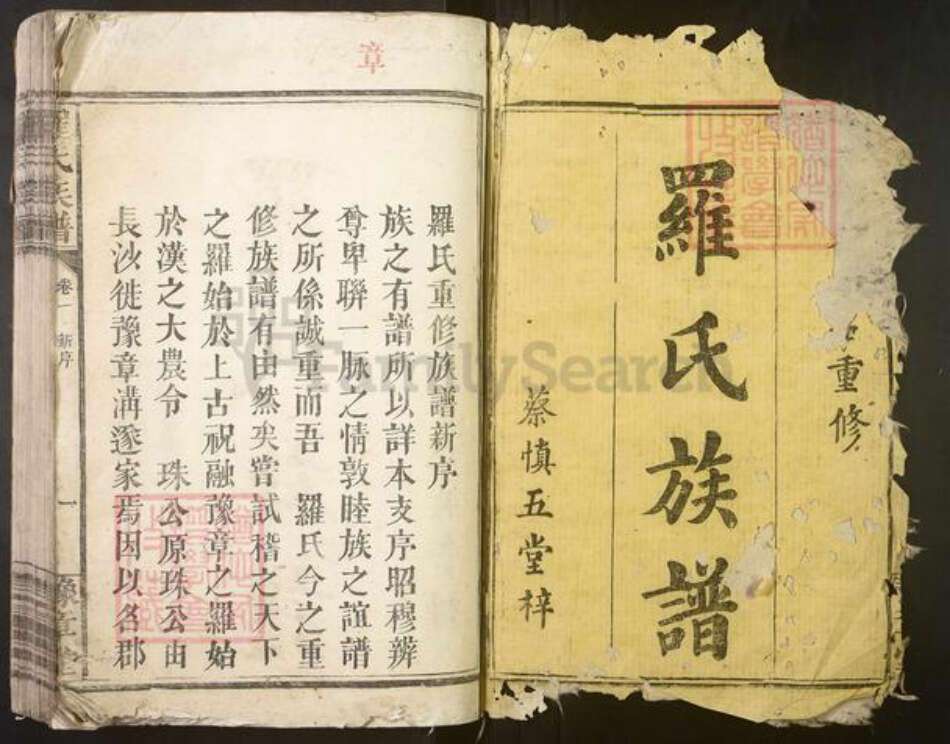 湖南省岳阳市平江县罗氏族谱-罗氏族谱[5卷].pdf电子版预览图1