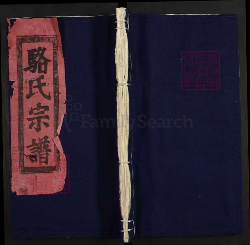 江西省景德镇市景德镇市辖区骆氏族谱-沙田骆氏宗谱.pdf电子版缩略图