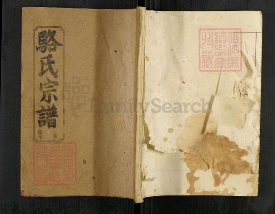 湖北省黄冈市黄梅县骆氏余庆堂族谱-骆氏家谱.pdf电子版缩略图