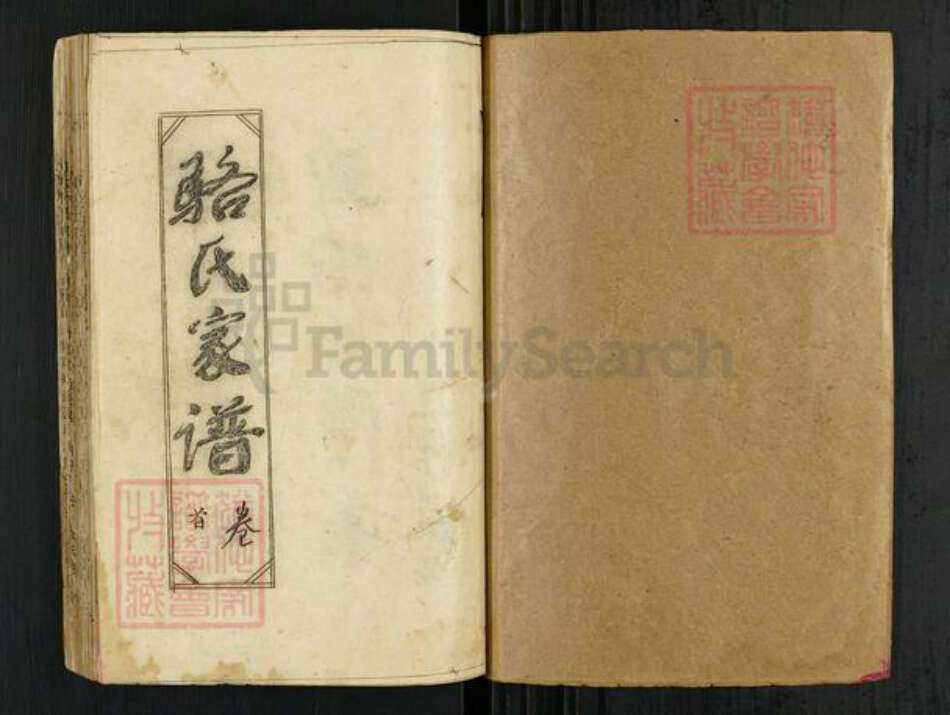 湖北省黄冈市黄梅县骆氏余庆堂族谱-骆氏家谱.pdf电子版预览图1