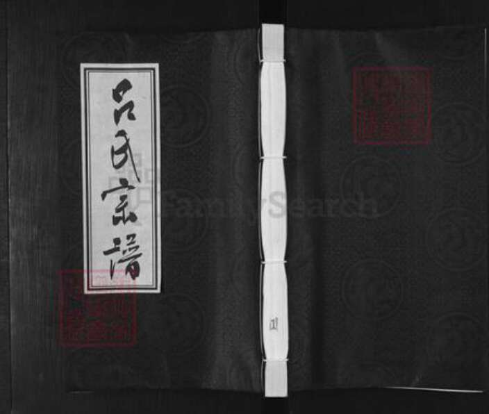 江苏省无锡市吕氏渭起堂族谱-吕氏宗谱.pdf电子版缩略图