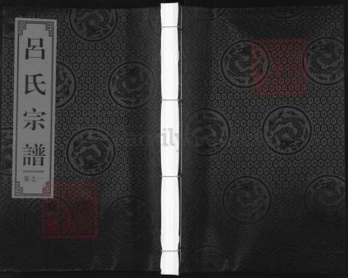 浙江省丽水市缙云县新建镇吕氏族谱-五云吕氏宗谱.pdf电子版缩略图