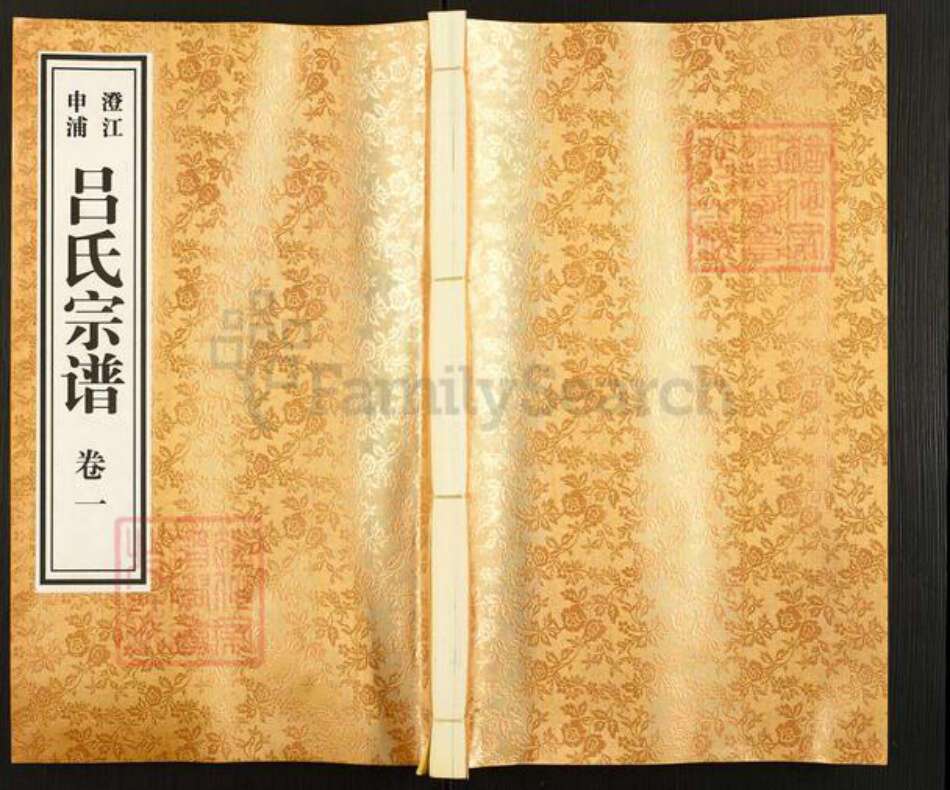 江苏省无锡市江阴市临港街道吕氏渭起堂族谱-澄江申浦吕氏宗谱.pdf电子版缩略图