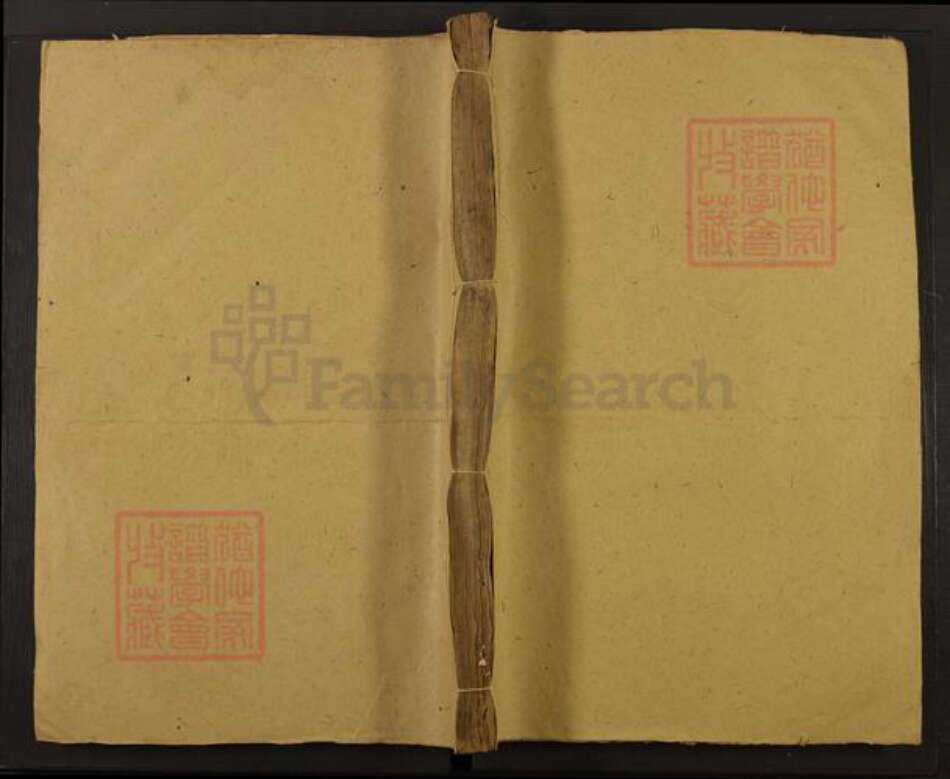 浙江省丽水市龙泉市宝溪乡吕氏族谱-东平(君邑)吕氏宗谱.pdf电子版缩略图