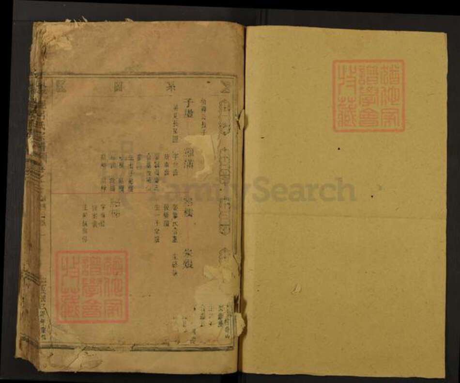 浙江省丽水市龙泉市宝溪乡吕氏族谱-东平(君邑)吕氏宗谱.pdf电子版预览图1