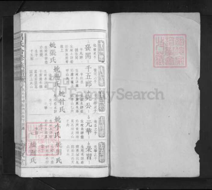 江西省赣州市赣县区吕氏河东堂族谱-吕氏合修族谱.pdf电子版预览图1