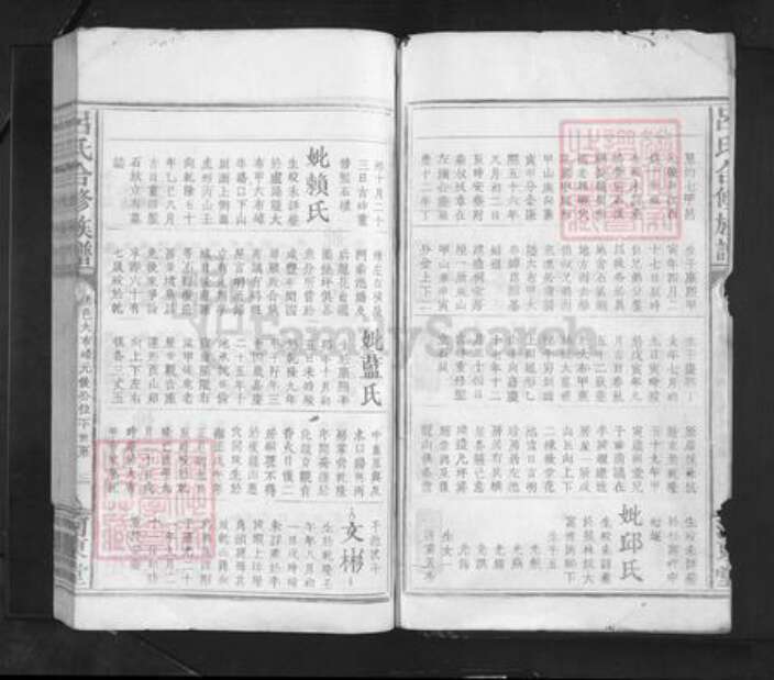 江西省赣州市赣县区吕氏河东堂族谱-吕氏合修族谱.pdf电子版预览图3