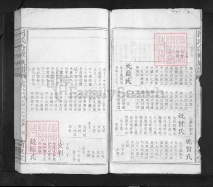 江西省赣州市赣县区吕氏河东堂族谱-吕氏合修族谱.pdf电子版预览图4