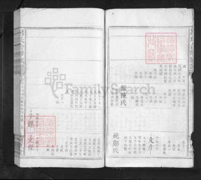 江西省赣州市赣县区吕氏河东堂族谱-吕氏合修族谱.pdf电子版预览图5