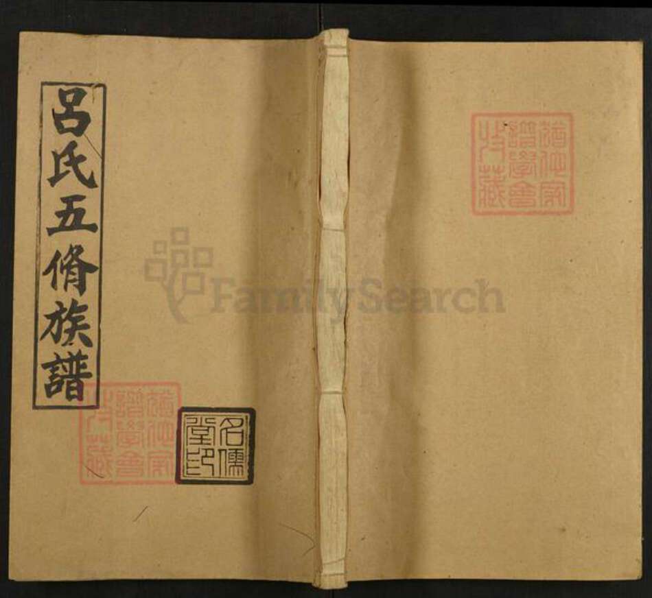 湖南省邵阳市邵东吕氏名儒堂族谱-吕氏五修族谱.pdf电子版缩略图