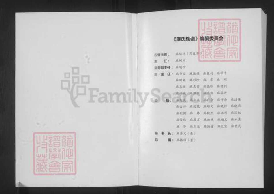 山西省大同市浑源县麻氏族谱-山西浑源.麻氏族谱.pdf电子版预览图2