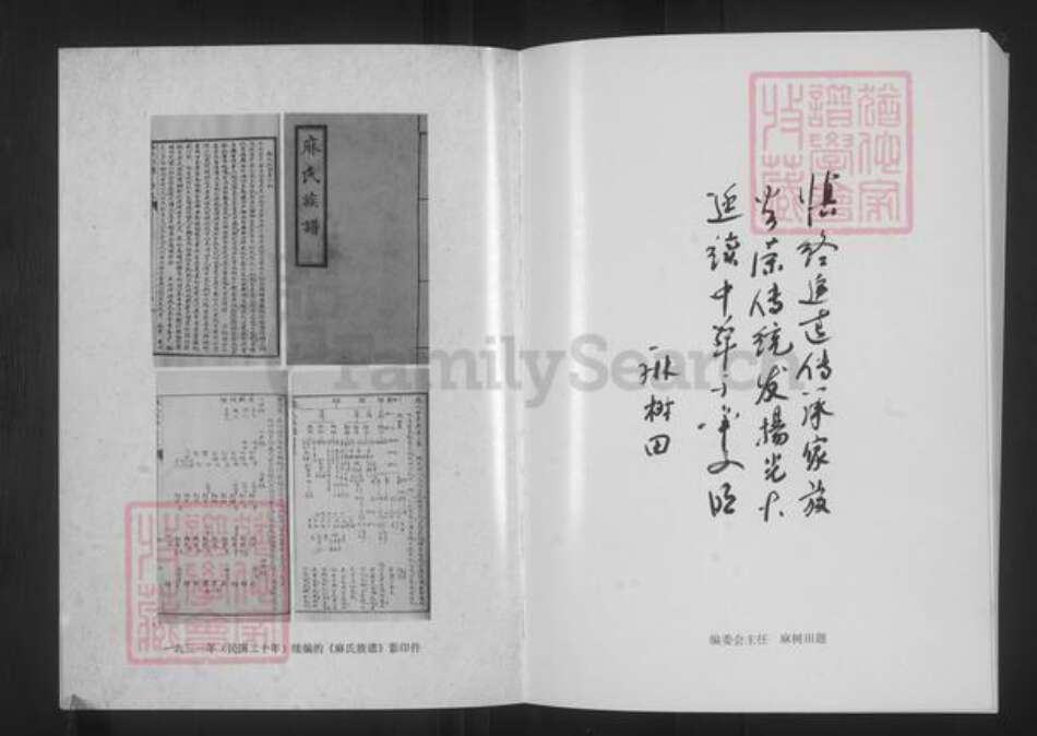 山西省大同市浑源县麻氏族谱-山西浑源.麻氏族谱.pdf电子版预览图5