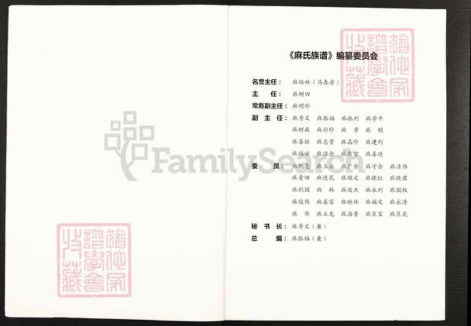 山西省大同市浑源县麻氏族谱-麻氏族谱.pdf电子版预览图2