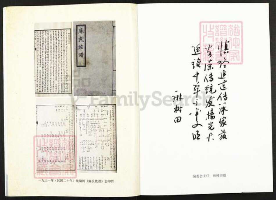 山西省大同市浑源县麻氏族谱-麻氏族谱.pdf电子版预览图5