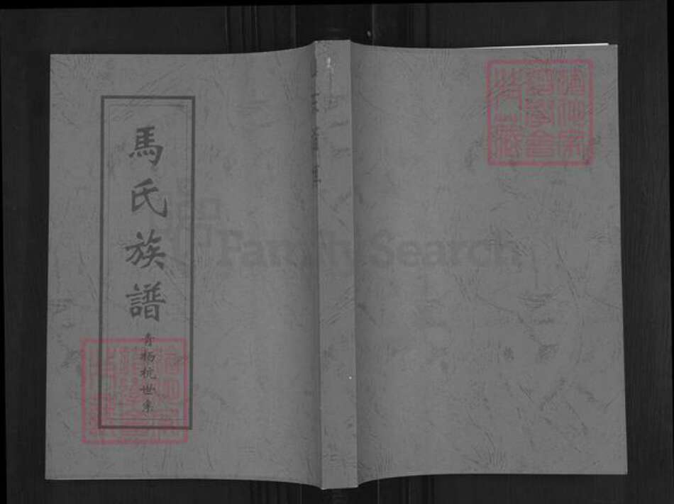 山东省淄博市博山区马氏族谱-马氏族谱.青杨杭世系.pdf电子版缩略图