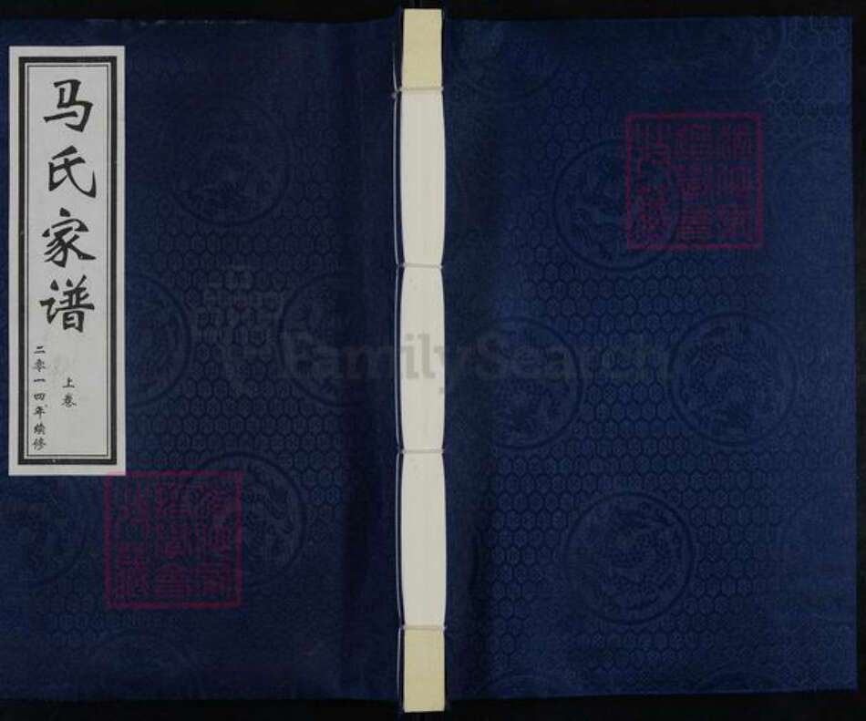 河北省廊坊市大城县权村镇马氏族谱-马氏家谱.pdf电子版缩略图