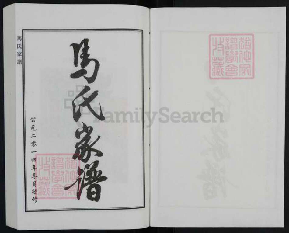 河北省廊坊市大城县权村镇马氏族谱-马氏家谱.pdf电子版预览图1