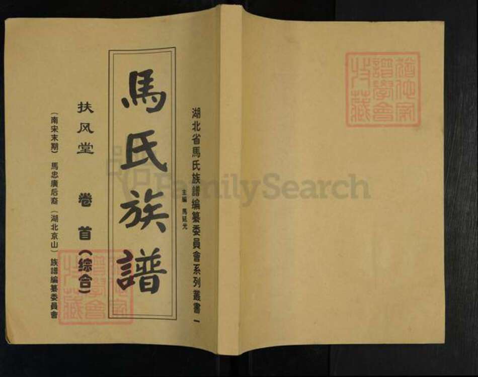 湖北省荆门市京山市罗店镇马氏扶风堂族谱-马氏族谱.pdf电子版缩略图