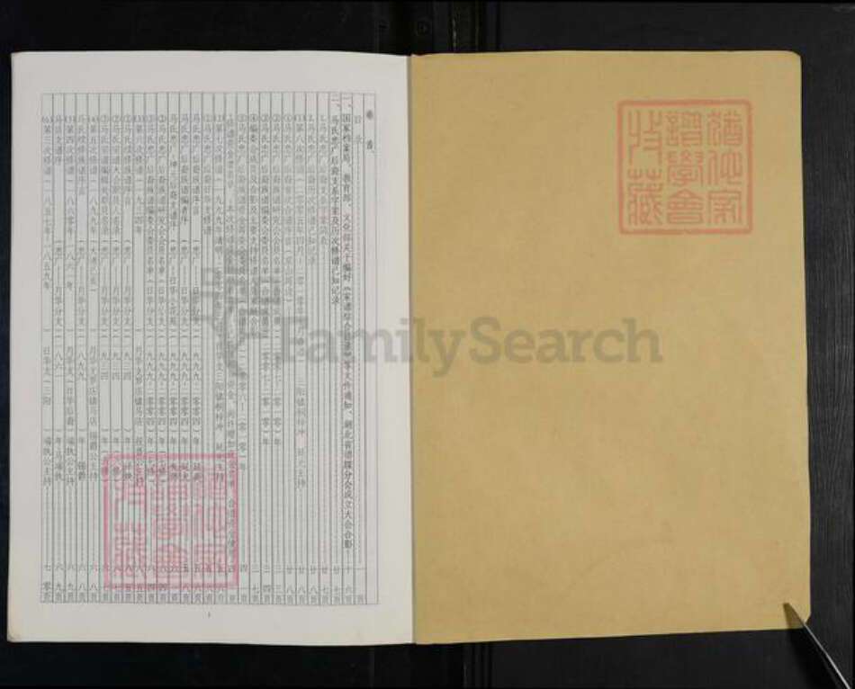 湖北省荆门市京山市罗店镇马氏扶风堂族谱-马氏族谱.pdf电子版预览图1