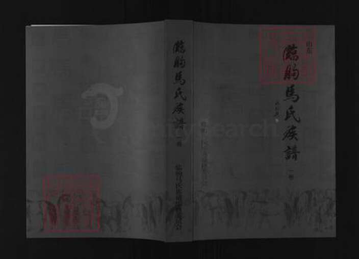 山东省潍坊市临朐县马氏族谱-山东临朐马氏族谱.pdf电子版缩略图