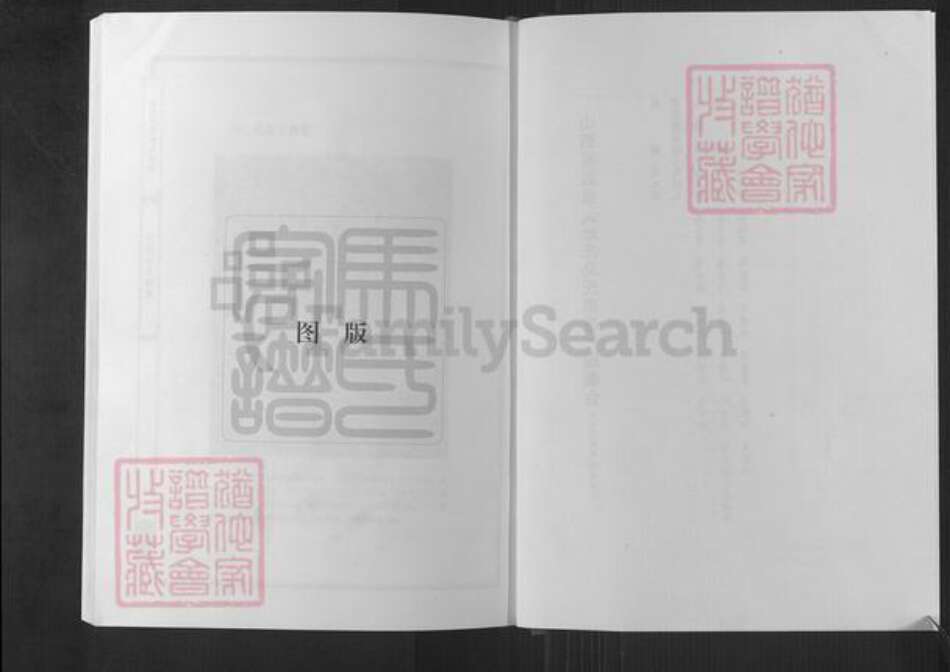 山西省阳泉市盂县秀水镇马氏传远堂族谱-北庄马氏家谱.pdf电子版预览图3