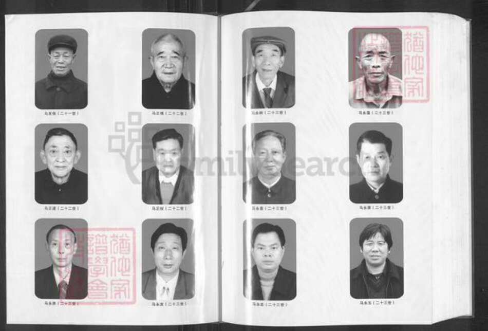 湖北省宜昌市枝江市董市镇马氏绛帐堂族谱-枝邑马氏族谱.pdf电子版预览图5