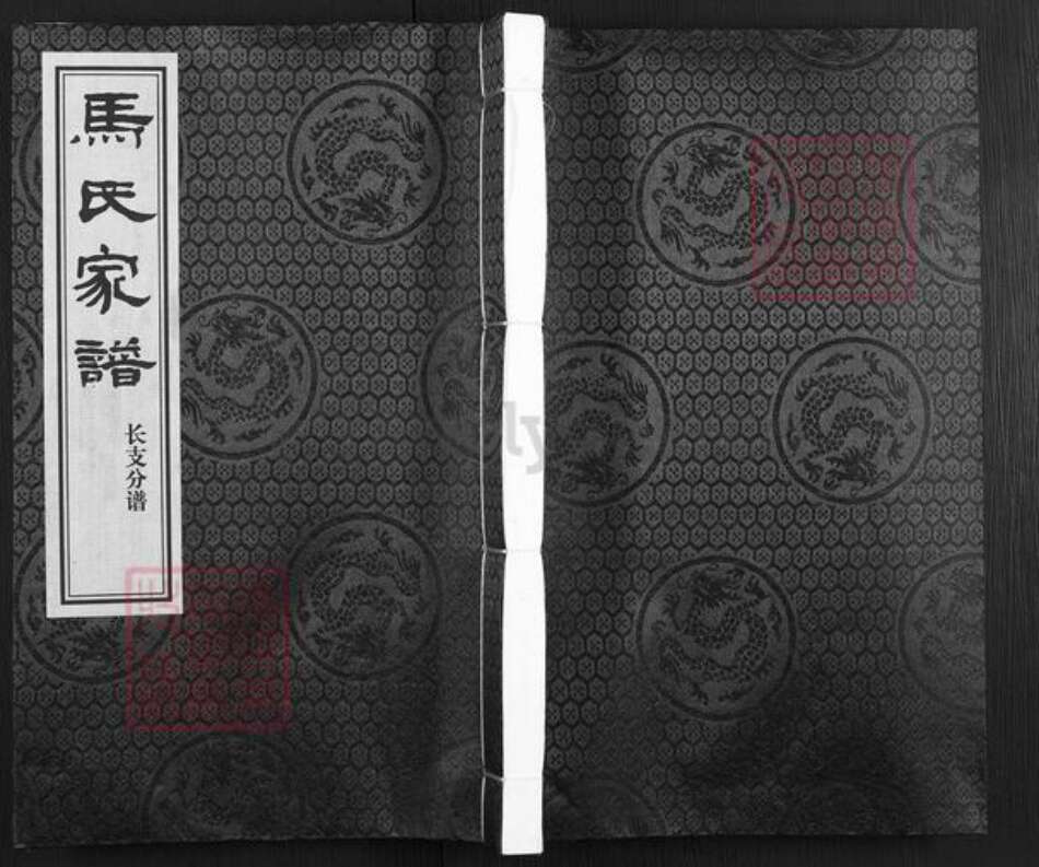 河北省沧州东光县马氏族谱-马氏家谱.pdf电子版缩略图