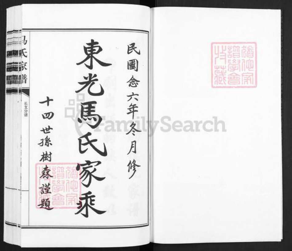 河北省沧州东光县马氏族谱-马氏家谱.pdf电子版预览图1