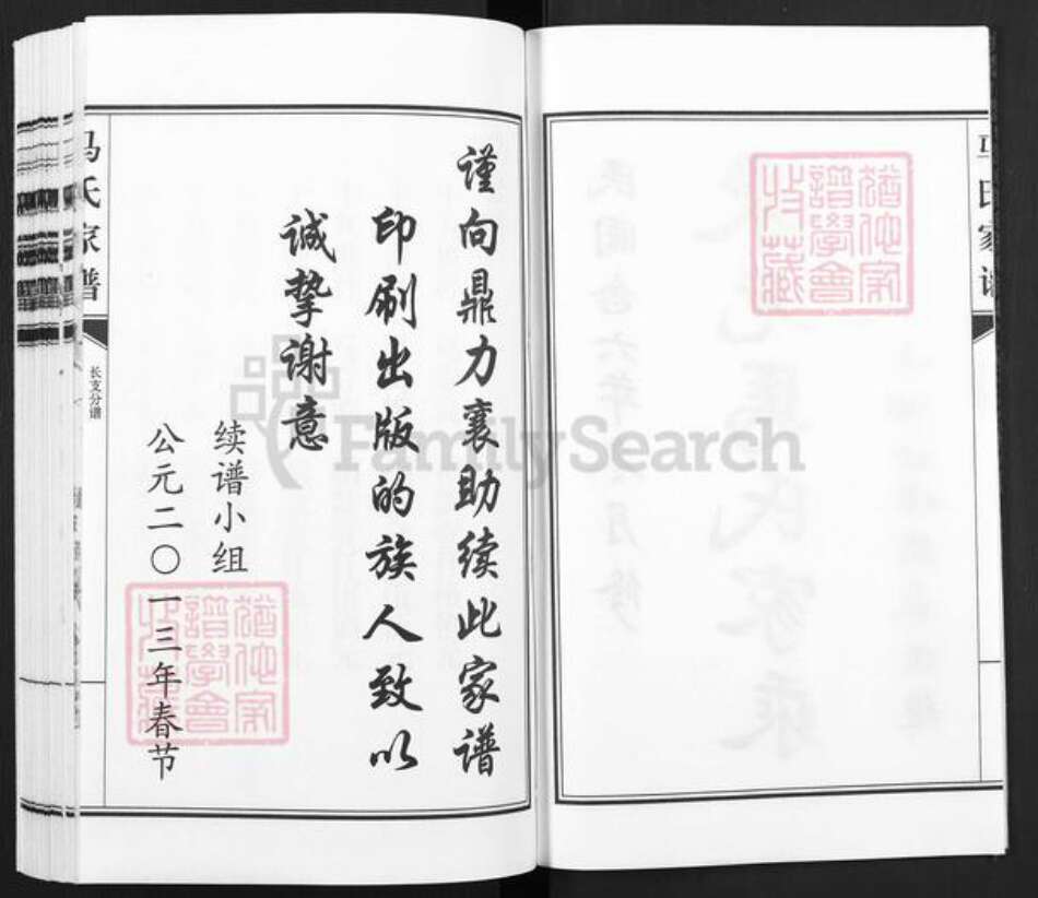 河北省沧州东光县马氏族谱-马氏家谱.pdf电子版预览图2