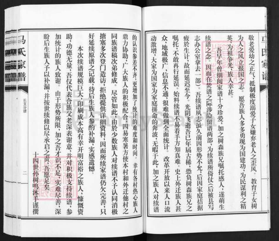 河北省沧州东光县马氏族谱-马氏家谱.pdf电子版预览图4