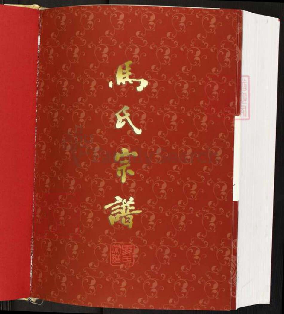 重庆市石砫土家族自治县马氏族谱-石柱马氏宗谱.pdf电子版预览图1