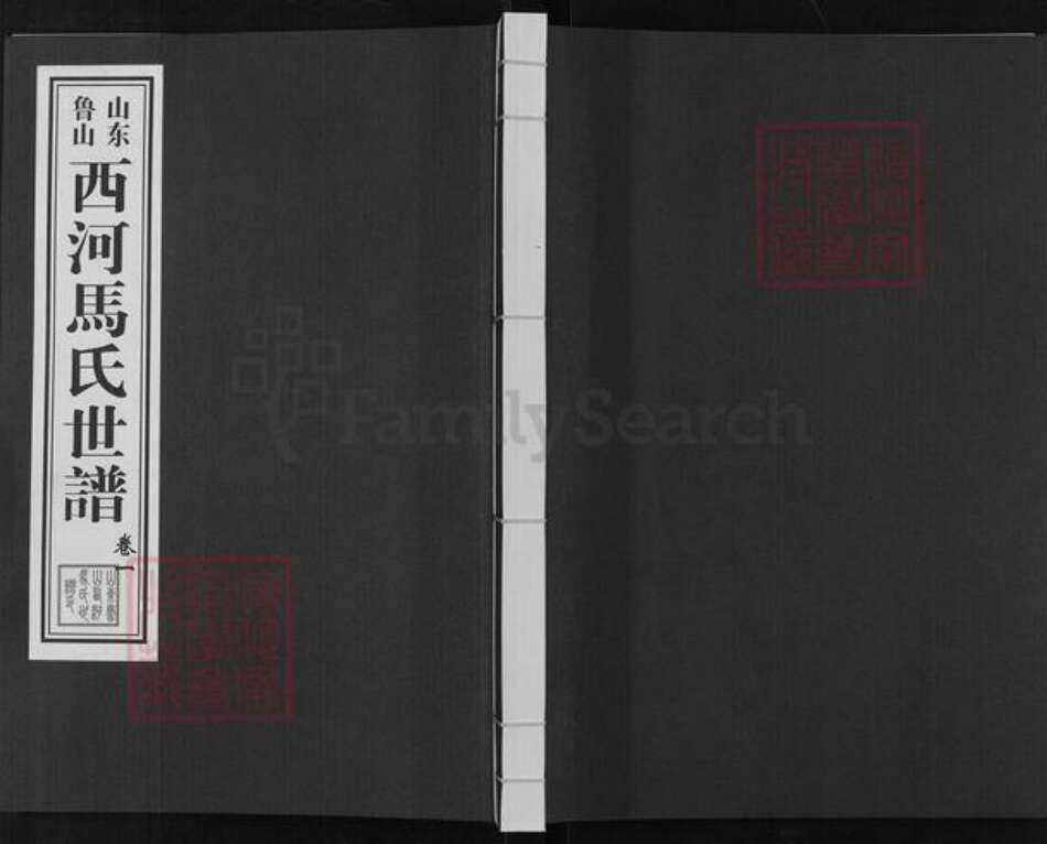 山东省淄博市淄川区马氏族谱-山东鲁山西河马氏世谱.pdf电子版缩略图