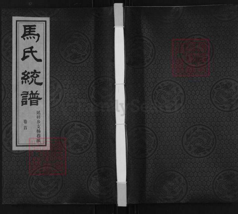 江苏省无锡市锡山区鹅湖镇马氏忠孝堂族谱-马氏统谱.延祥乡支杨巷派.pdf电子版缩略图