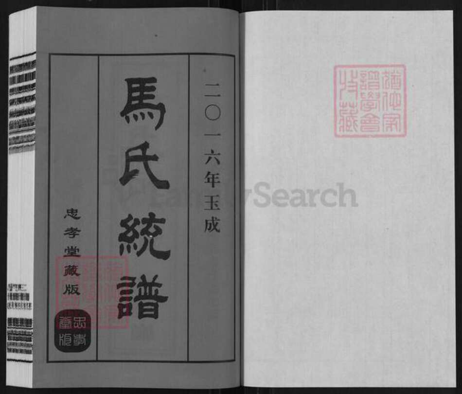 江苏省无锡市锡山区鹅湖镇马氏忠孝堂族谱-马氏统谱.延祥乡支杨巷派.pdf电子版预览图1