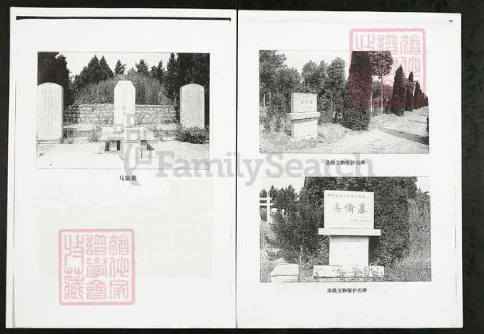 山东省潍坊市临朐县马氏族谱-临朐西朱村马氏家谱.pdf电子版预览图4