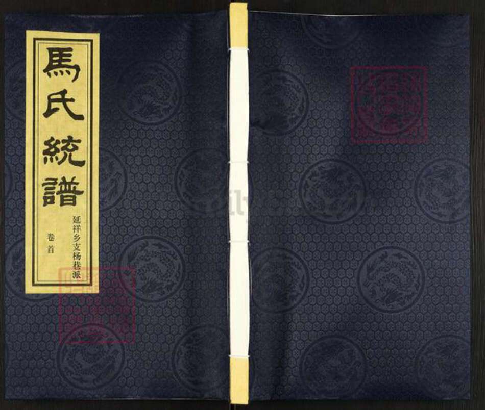 江苏省无锡市锡山区鹅湖镇马氏忠孝堂族谱-马氏统谱.延祥乡支杨巷派.pdf电子版缩略图