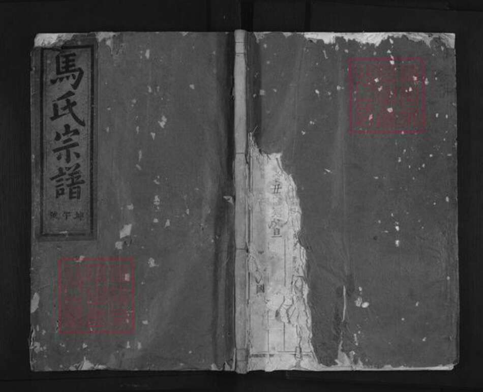 浙江省金华市浦江县马氏族谱-浦阳桑溪马氏宗谱.pdf电子版缩略图