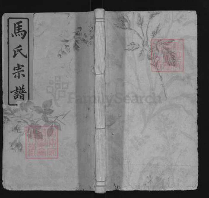 福建省龙岩市永定区马氏扶风堂族谱-马氏宗谱.pdf电子版缩略图