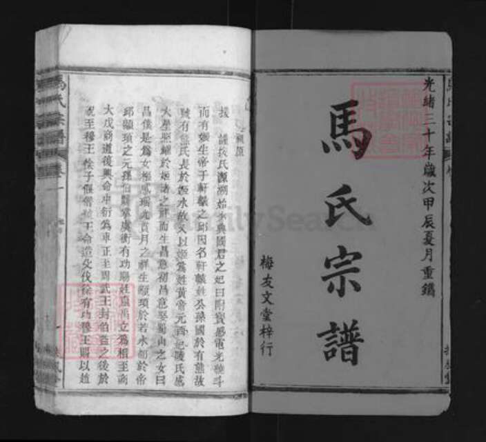 福建省龙岩市永定区马氏扶风堂族谱-马氏宗谱.pdf电子版预览图1