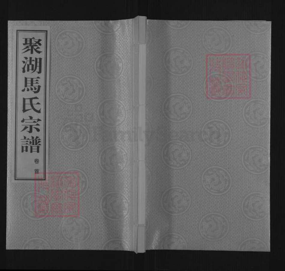 江苏省常州市武进县马氏宝善堂族谱-聚湖马氏宗谱.pdf电子版缩略图