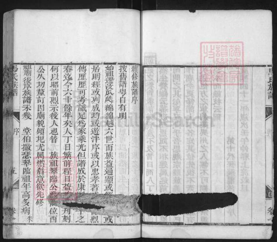 山东省济宁市汶上县马氏承续堂族谱-汶邑马氏族谱.pdf电子版预览图5