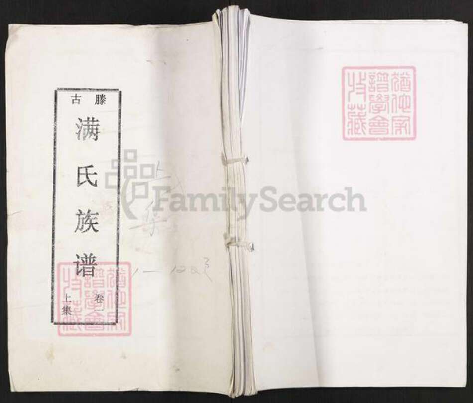 山东省枣庄市滕州市洪绪镇满氏族谱-古滕满氏族谱.pdf电子版