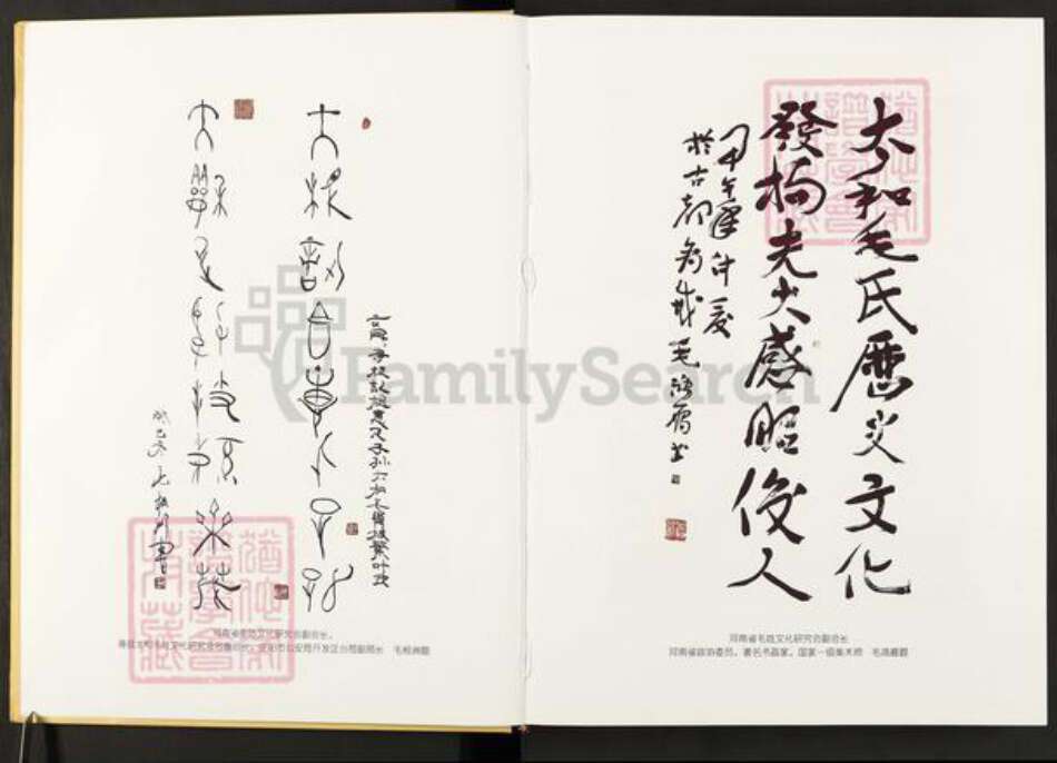河南省安阳市滑县毛氏西河堂族谱-太和毛氏通编.pdf电子版预览图5