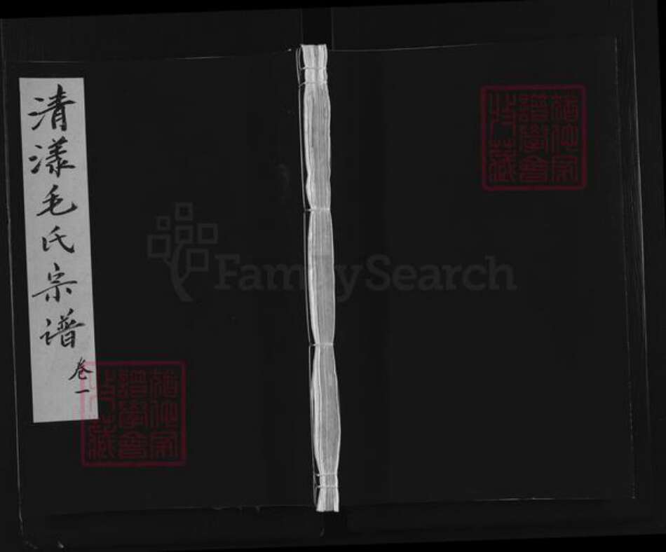 浙江省衢州江山市毛氏族谱-清漾毛氏宗谱.pdf电子版缩略图