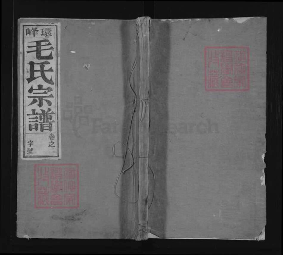 安徽省滁州市凤阳县毛氏傅经堂族谱-环峰毛氏宗谱.pdf电子版缩略图